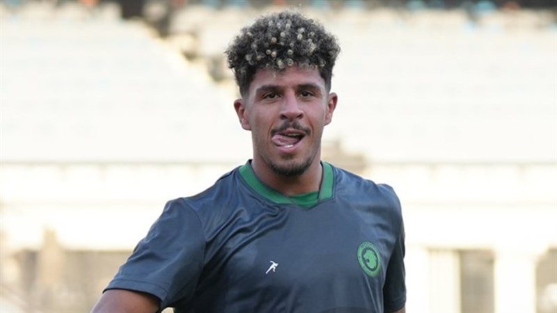 الشارع المصري